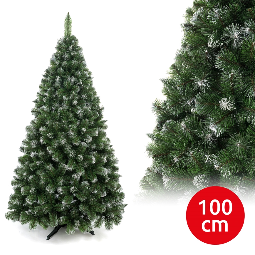 100 cm mändjõulupuu