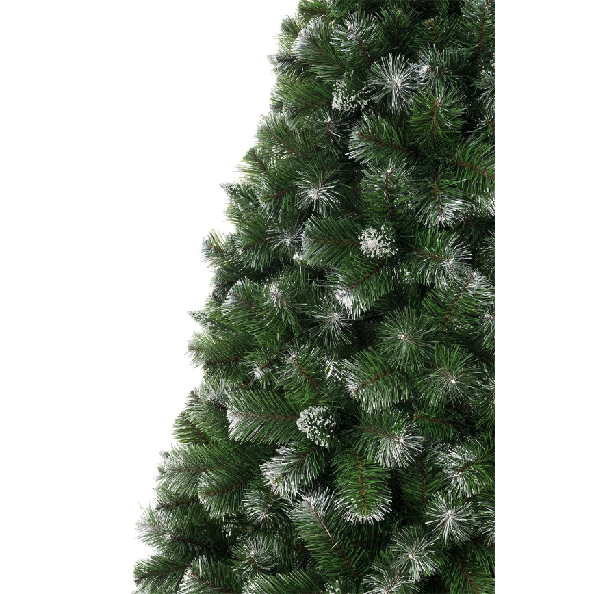 100 cm mändjõulupuu