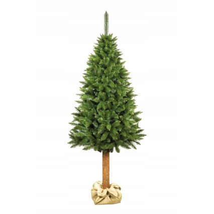 220 cm kõrge jõulupuu tüvel (kuusk)