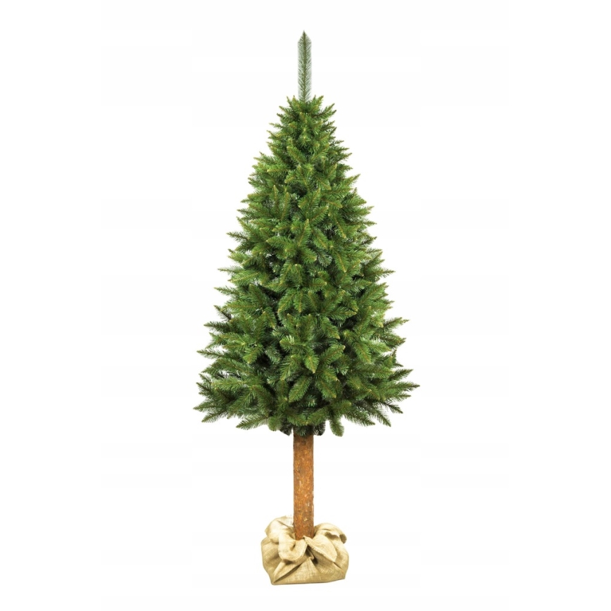220 cm kõrge jõulupuu tüvel (kuusk)