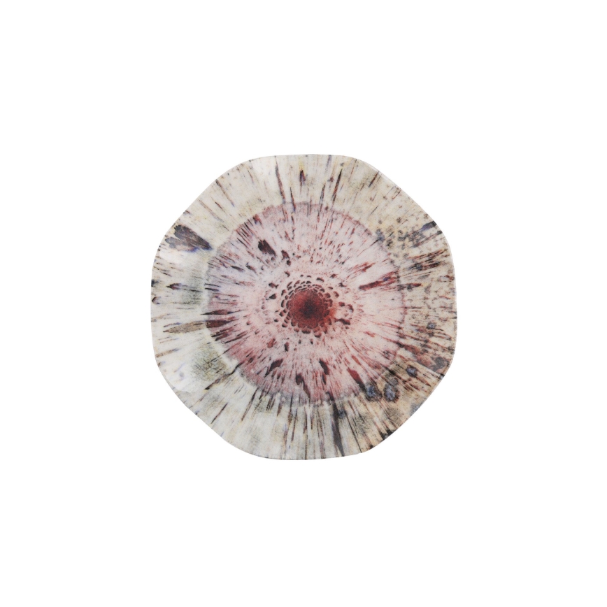 24-osaline värviline portselanist söögikomplekt