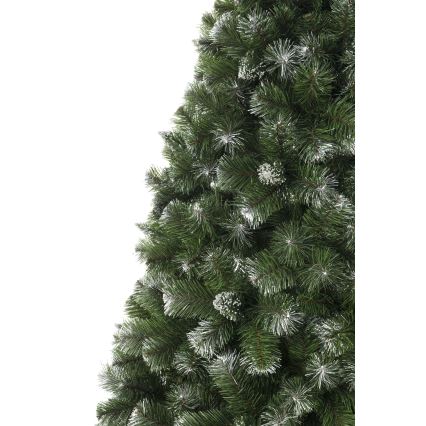 250 cm kõrge mändjõulupuu