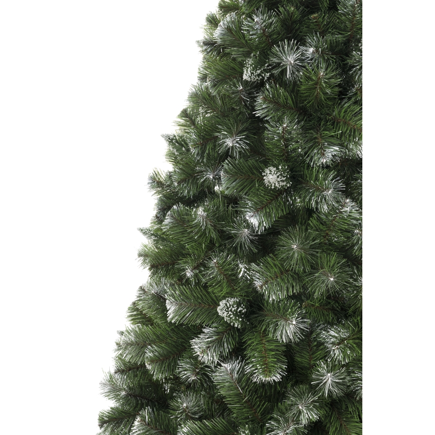 250 cm kõrge mändjõulupuu