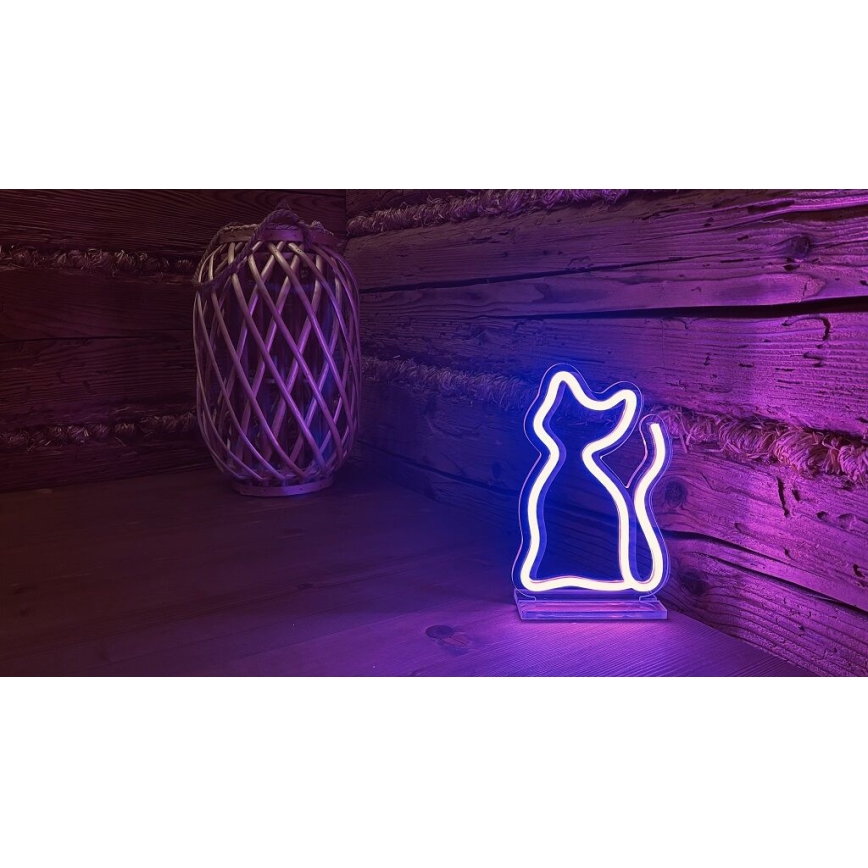 2Kids Toys - LED Neoon laud kaunistus LED/5W/USB kass