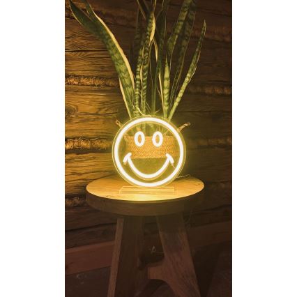 2Kids Toys - LED Neoon laud kaunistus LED/5W/USB naerunägu