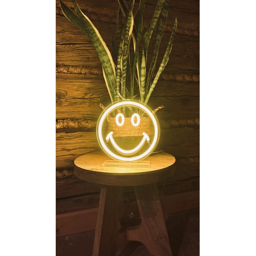 2Kids Toys - LED Neoon laud kaunistus LED/5W/USB naerunägu