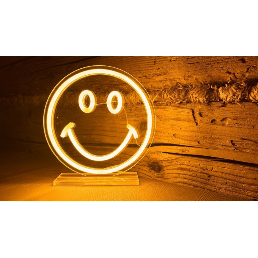 2Kids Toys - LED Neoon laud kaunistus LED/5W/USB naerunägu