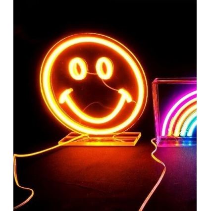 2Kids Toys - LED Neoon laud kaunistus LED/5W/USB naerunägu
