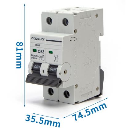 Aigostar - 2-faasiline kaitselüliti 2P-63A-C 230-400V