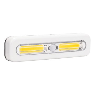Aigostar - Kapi LED-valgustus liikumisanduriga LED/3xAAA 3000K valge