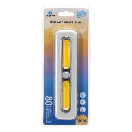 Aigostar - Kapi LED-valgustus liikumisanduriga LED/3xAAA 3000K valge
