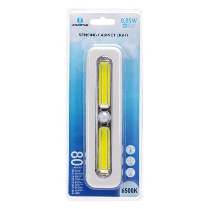 Aigostar - Kapi LED-valgustus liikumisanduriga LED/3xAAA 6500K valge