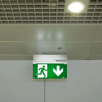 Aigostar - LED Avariivalgusti EMERGENCY EXIT LED/3,6W/230V 6500K 500mAh