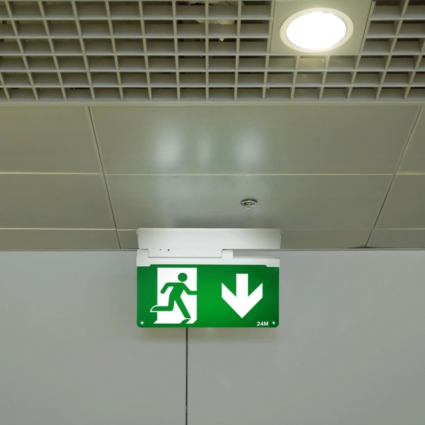 Aigostar - LED Avariivalgusti EMERGENCY EXIT LED/3,6W/230V 6500K 500mAh