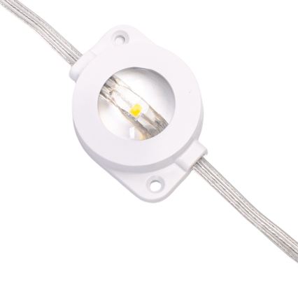 Aigostar - hämardatav LED-välisjõulukett 50xLED/8 funktsiooni 20m IP44 mitmevärviline + kaugjuhtimispult