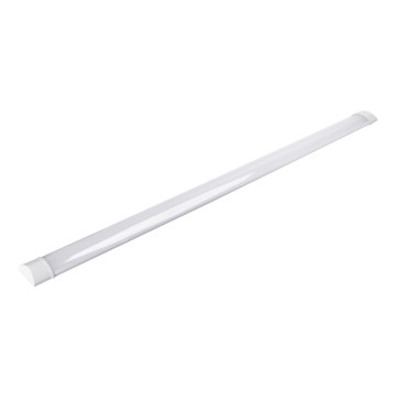 Aigostar - LED lineaarvalgusti LED/40W/230V 4000K 120 cm