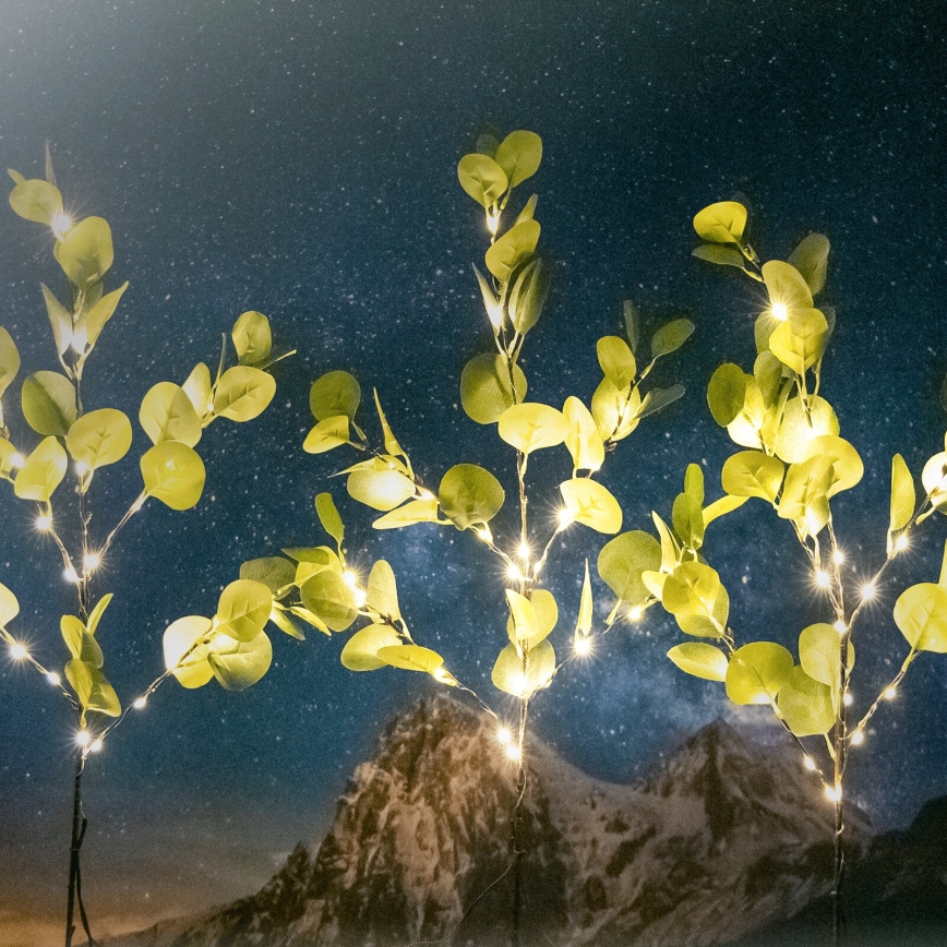 Aigostar - LED Päikesepaneel kaunistus 60xLED/3,5m IP65 soe valge eukalüpt