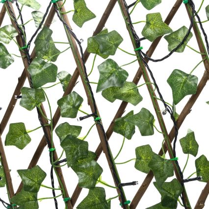 Aigostar - LED päikesepaneeliga valguskett 102xLED/2x0,7m IP65 soe valge ivy