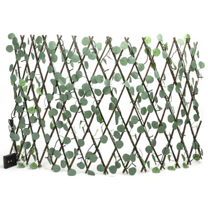 Aigostar - LED päikesepaneeliga valguskett 102xLED/2x0,7m IP65 soe valge eukalüpt