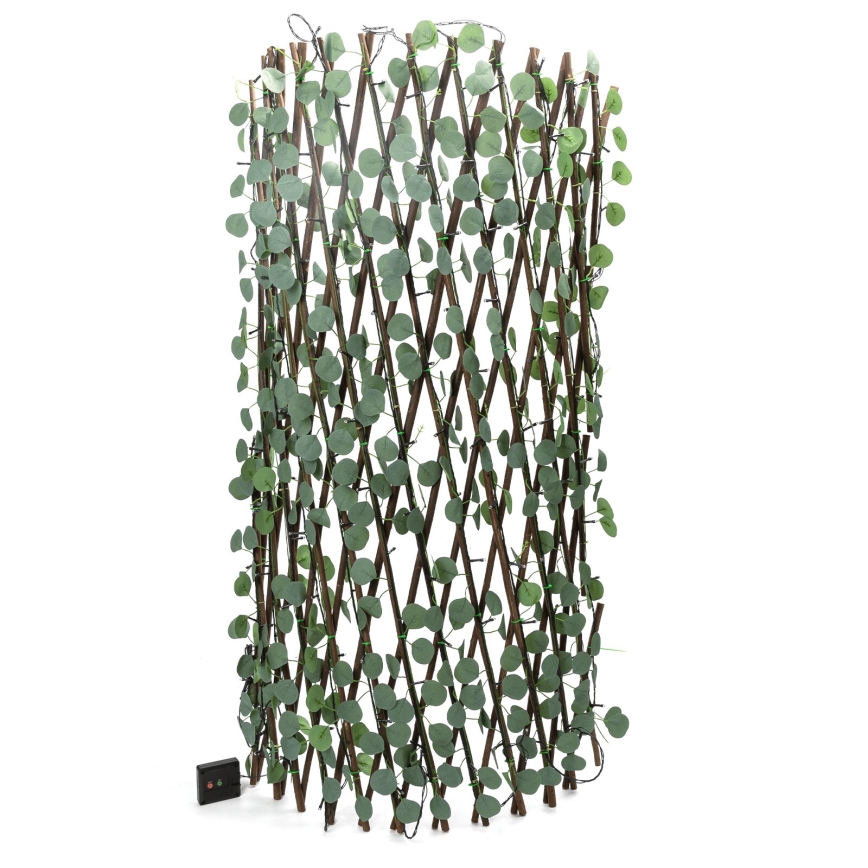 Aigostar - LED päikesepaneeliga valguskett 148xLED/2x1,2m IP65 soe valge eukalüpt