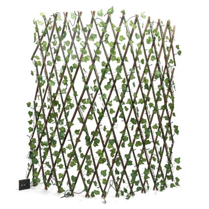 Aigostar - LED päikesepaneeliga valguskett 148xLED/2x1,2m IP65 soe valge ivy