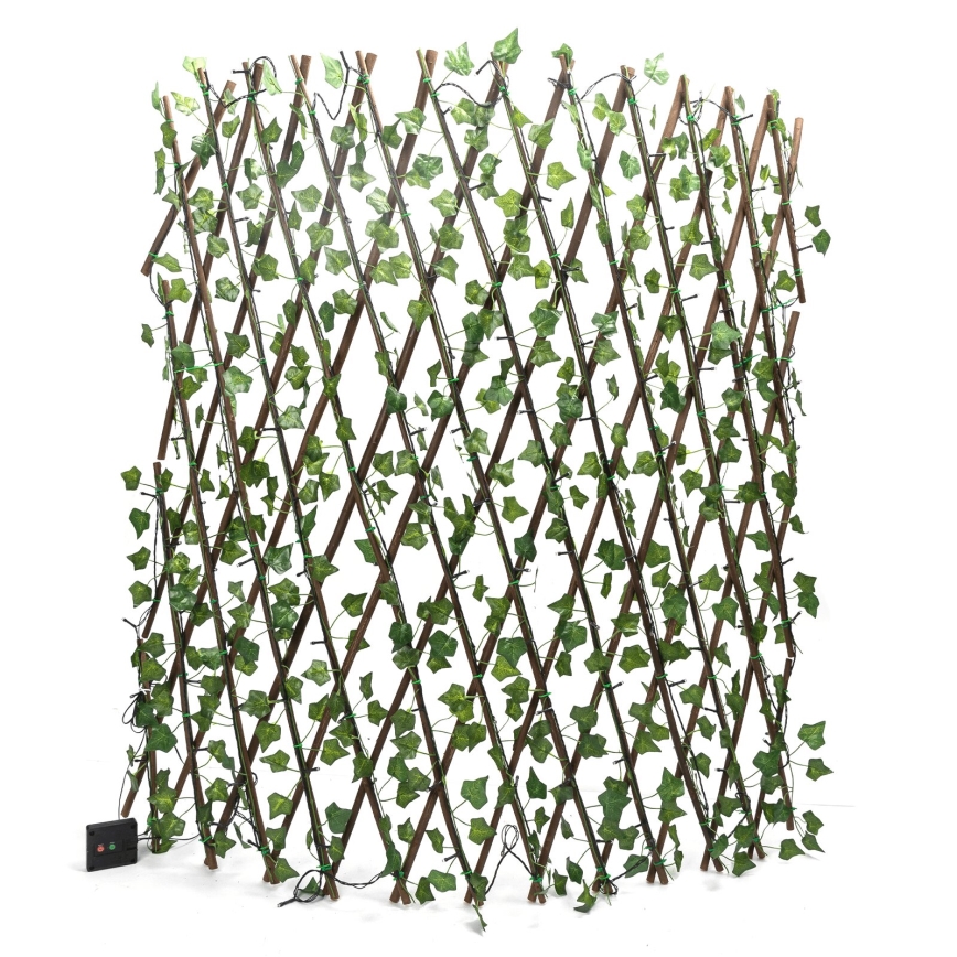 Aigostar - LED päikesepaneeliga valguskett 148xLED/2x1,2m IP65 soe valge ivy