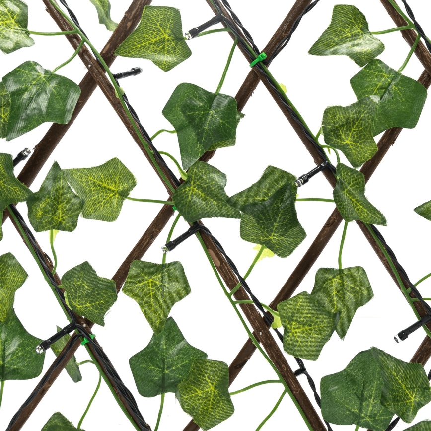 Aigostar - LED päikesepaneeliga valguskett 56xLED/2x0,4m IP65 soe valge ivy