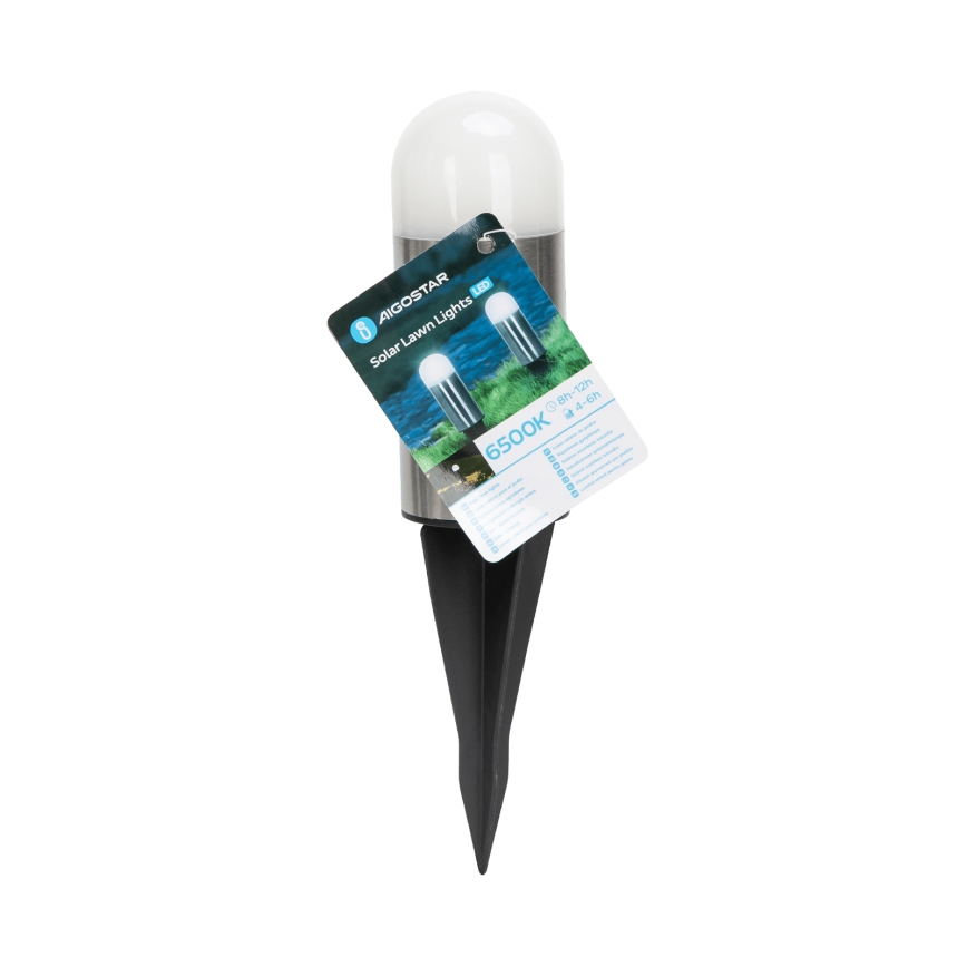 Aigostar - LED Päikesepaneeliga valgusti LED/0,006W/1,2V 20cm matt kroom 6500K IP44