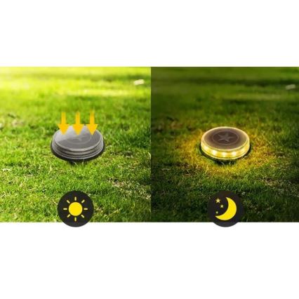 Aigostar - LED Päikesepaneeliga valgusti LED/0,6W/5,5V 24,5 cm 500 mAh 3200K IP66 must