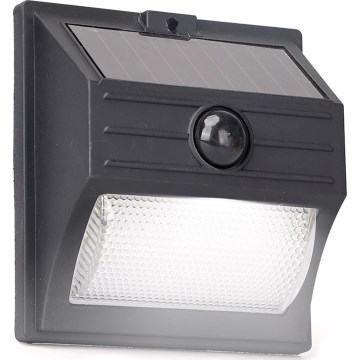 Aigostar - LED päikesevalgusti anduriga LED/3,7V 6500K 500 mAh IP65 must