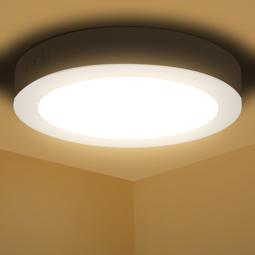 Aigostar - LED Pinnale kinnitatav laevalgusti LED/12W/230V d. 17,4 cm 3000K valge