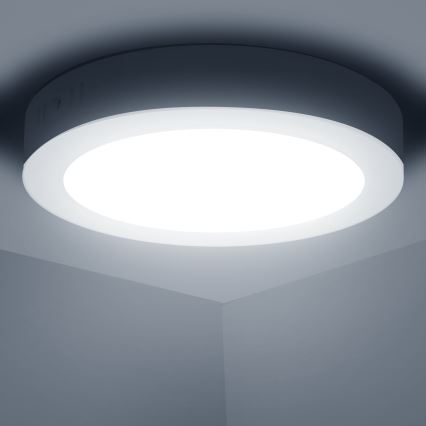 Aigostar - LED Pinnale kinnitatav laevalgusti LED/12W/230V d. 17,4 cm 6500K valge