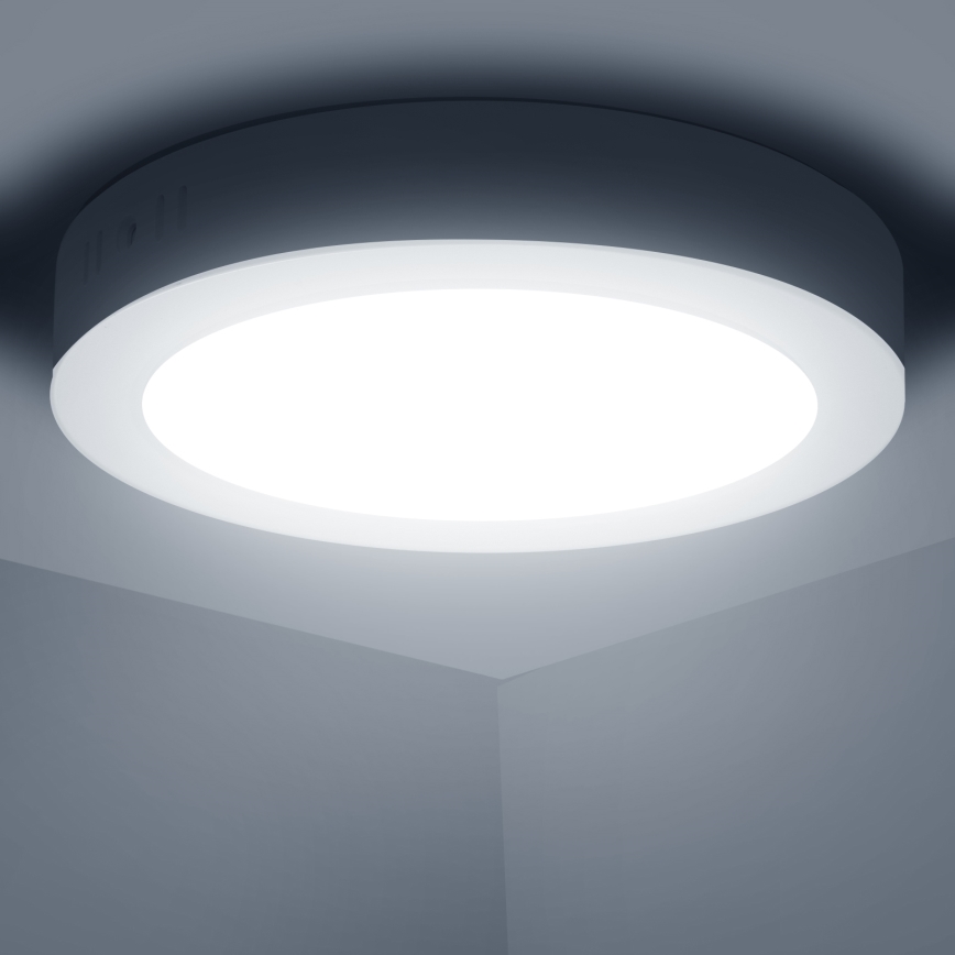 Aigostar - LED Pinnale kinnitatav laevalgusti LED/12W/230V d. 17,4 cm 6500K valge