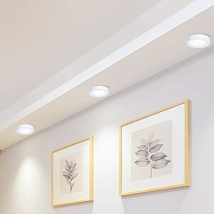 Aigostar - LED Pinnale kinnitatav laevalgusti LED/12W/230V d. 17,4 cm 6500K valge