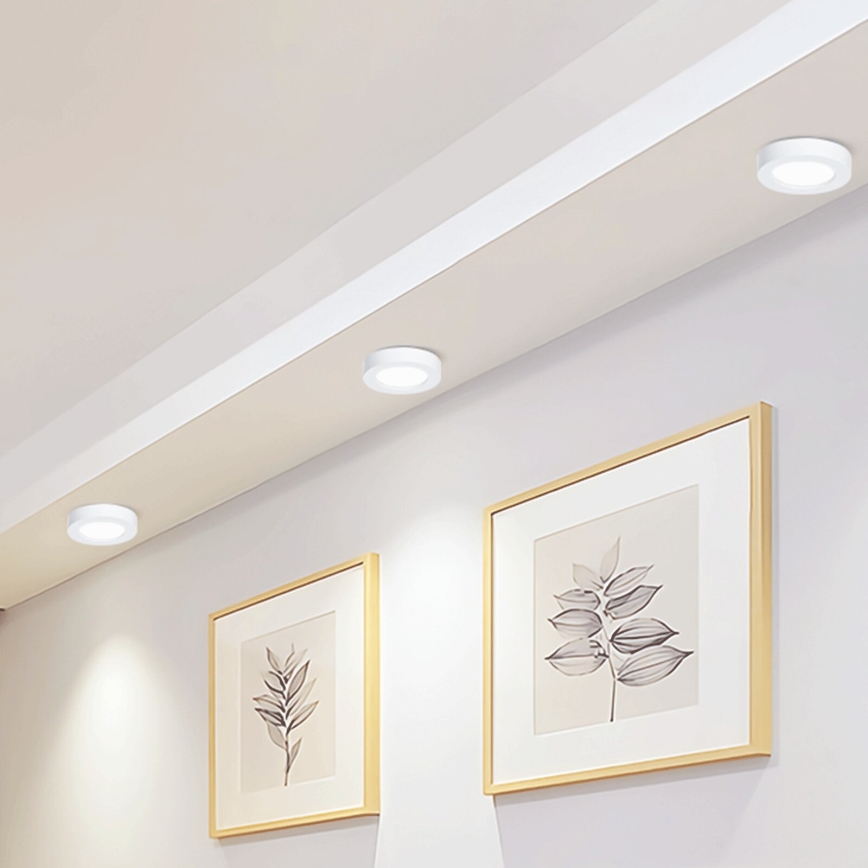 Aigostar - LED Pinnale kinnitatav laevalgusti LED/12W/230V d. 17,4 cm 6500K valge