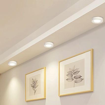 Aigostar - LED Pinnale kinnitatav laevalgusti LED/18W/230V d. 22,6 cm 4000K valge