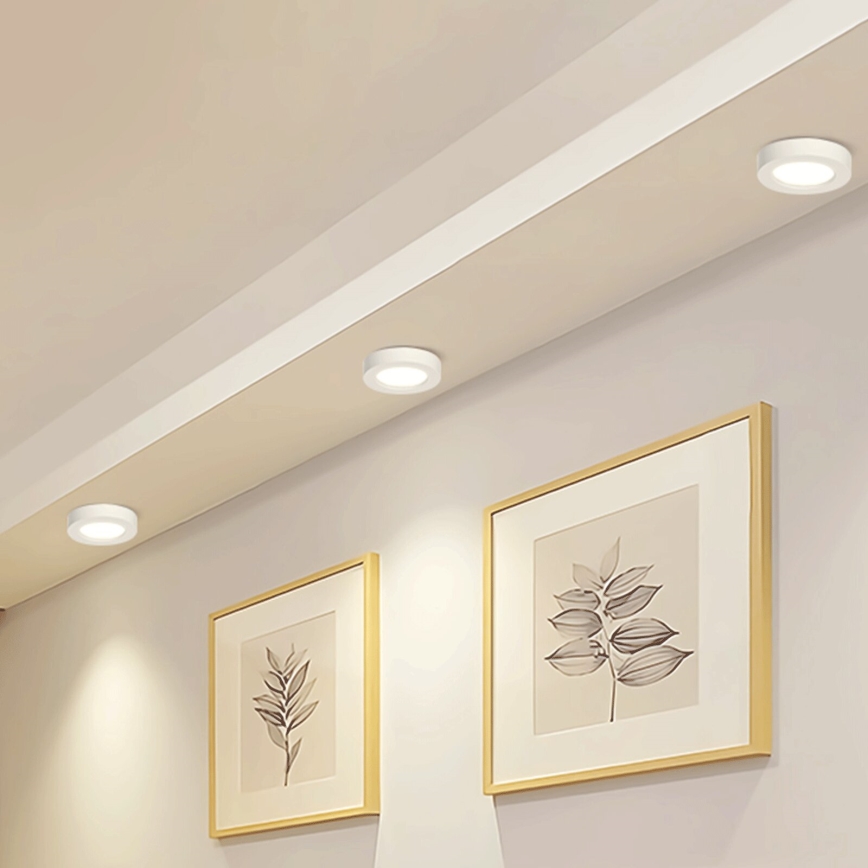 Aigostar - LED Pinnale kinnitatav laevalgusti LED/18W/230V d. 22,6 cm 4000K valge