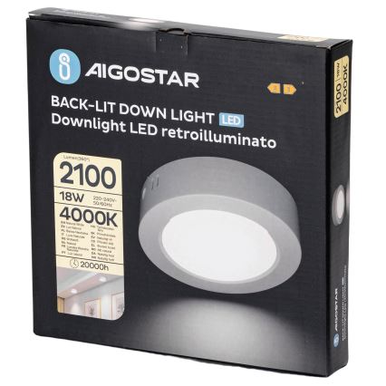 Aigostar - LED Pinnale kinnitatav laevalgusti LED/18W/230V d. 22,6 cm 4000K valge