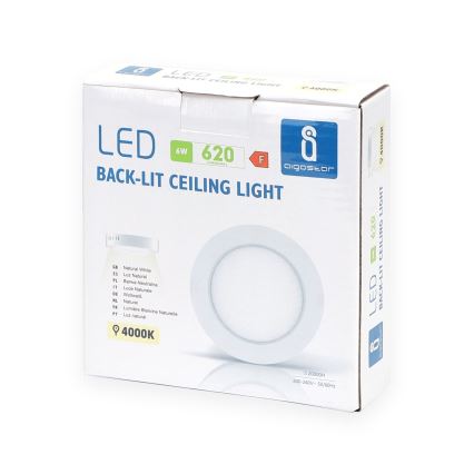 Aigostar - LED Pinnale kinnitatav laevalgusti LED/6W/230V d. 12,3 cm 4000K valge