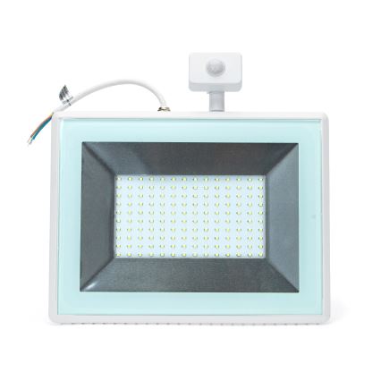 Aigostar - LED Prožektor anduriga LED/100W/230V 6400K IP65 valge