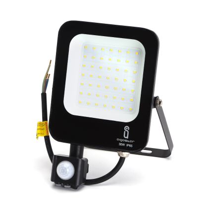 Aigostar - LED Prožektor anduriga LED/30W/230V 4000K IP65