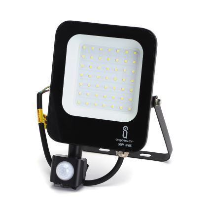 Aigostar - LED Prožektor anduriga LED/30W/230V 6500K IP65