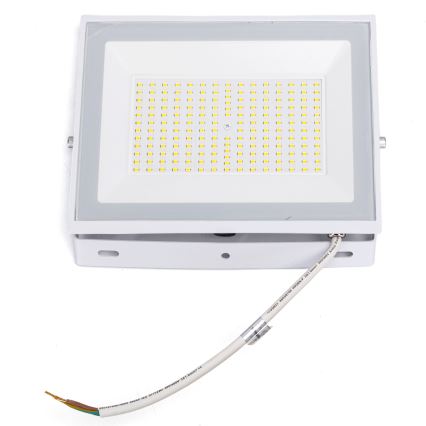 Aigostar - LED-prožektor LED/100W/230V 6500K IP65