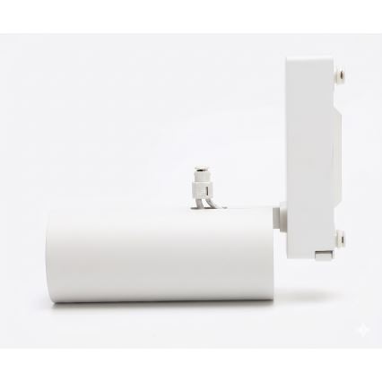 Aigostar - LED-punktvalgusti ühefaasilisele liistsüsteemile LED/24W/230V valge