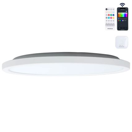 Aigostar - LED RGB Hämardatav laevalgusti MESH LED/24W/230V 3000-6500K valge + kaugjuhtimispult