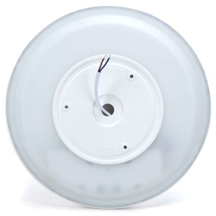 Aigostar - LED RGB Hämardatav laevalgusti MESH LED/24W/230V 3000-6500K valge + kaugjuhtimispult