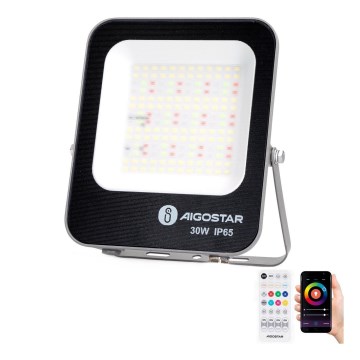 Aigostar - LED RGBW Hämardatav prožektor MESH Nutikas LED/30W/230V 6500K IP65 + kaugjuhtimispult