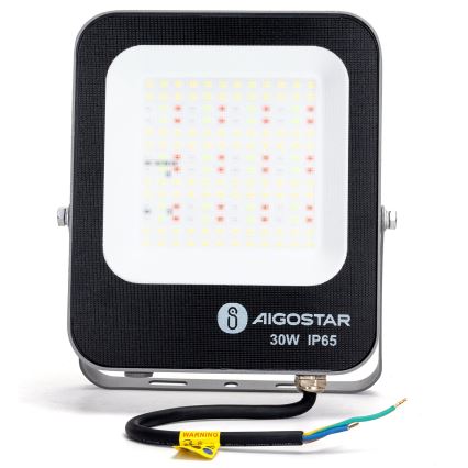 Aigostar - LED RGBW Hämardatav prožektor MESH Nutikas LED/30W/230V 6500K IP65 + kaugjuhtimispult
