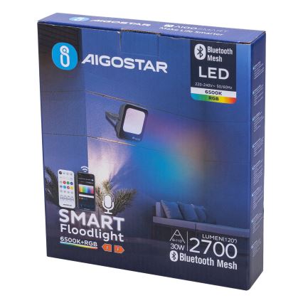 Aigostar - LED RGBW Hämardatav prožektor MESH Nutikas LED/30W/230V 6500K IP65 + kaugjuhtimispult