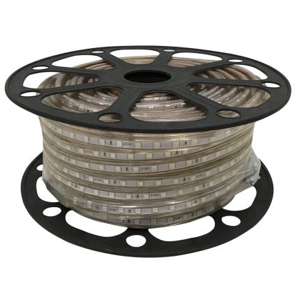Aigostar - LED Riba 50m LED/300W/230V IP65 roheline